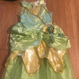 Disney Princess Tiana Dress